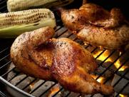 Grilled Chicken on Campfire