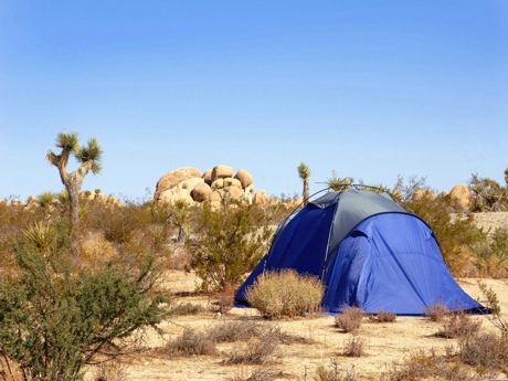 15++ Summer Desert Camping