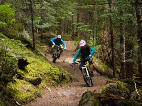 mtb trails for beginners