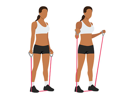 bicep curls with resistance band