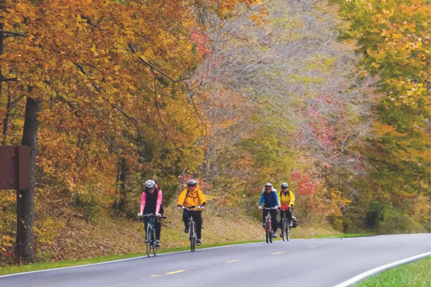 Fall Cycling Group