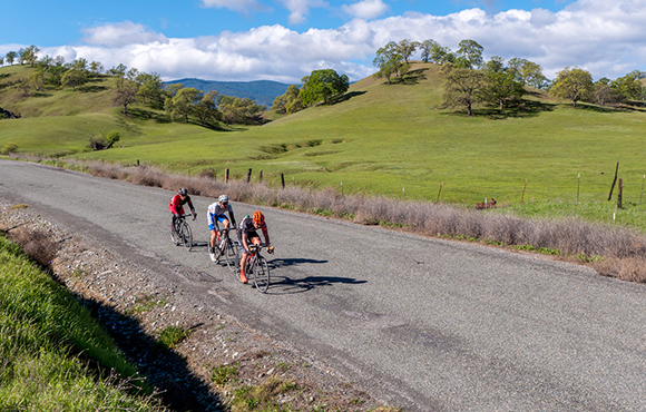 The Best Cities for Bike Safety