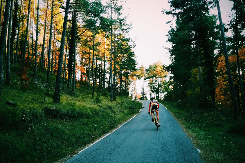 Cycling in the early morning