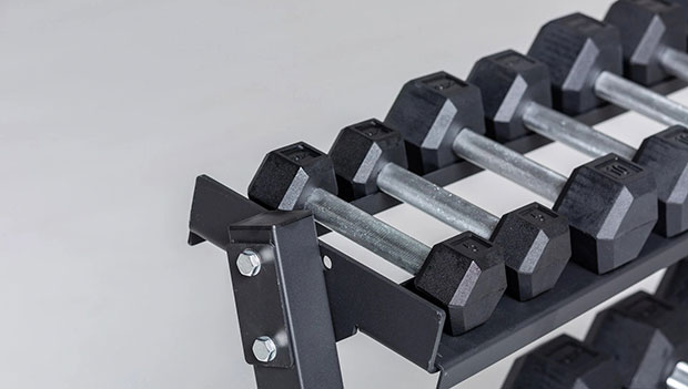 Medium/10 kg Best sport Unisexs Dumbbell Set with Collars Multi-Colour 
