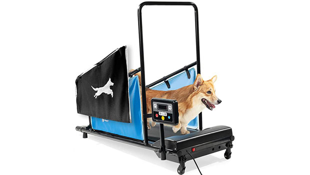 LifePro Dog Treadmill Small Dogs