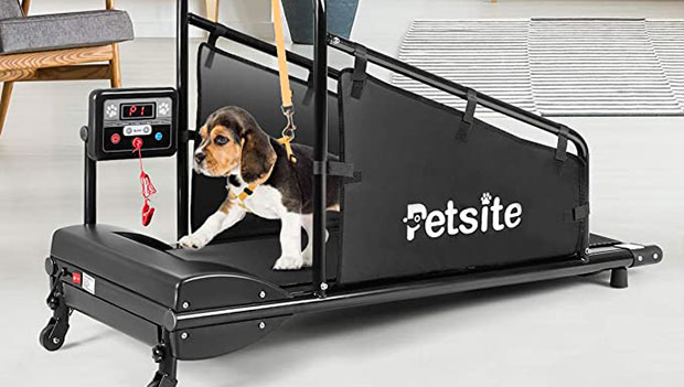 PETSITE Dog Treadmill