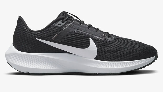 Nike-Pegasus-40_long-distance-running-shoes