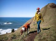 Best Hiking Gear for Dogs_Front