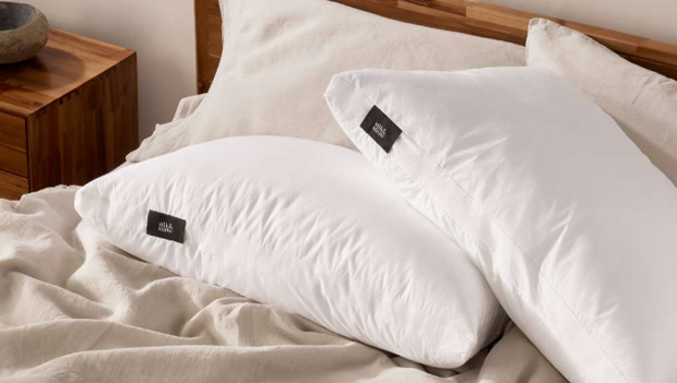 Silk and Snow Pillow