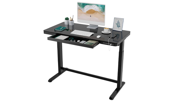 Flexispot Home Office Electric Desk