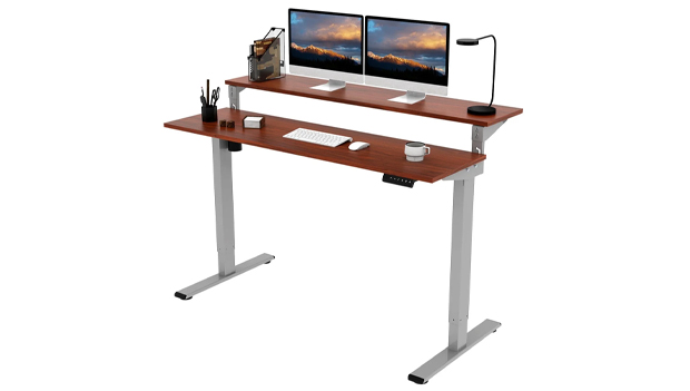 Flexispot Standing Desk Dual Tier