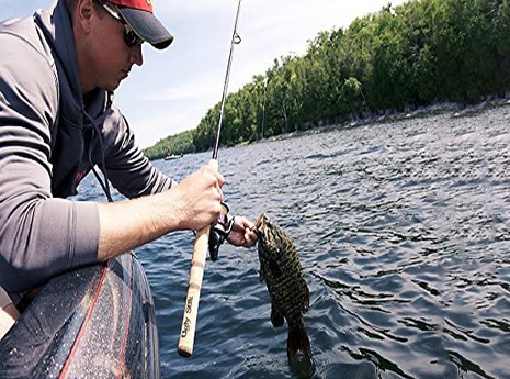 The Best Fishing Rods: Options for Every Angler