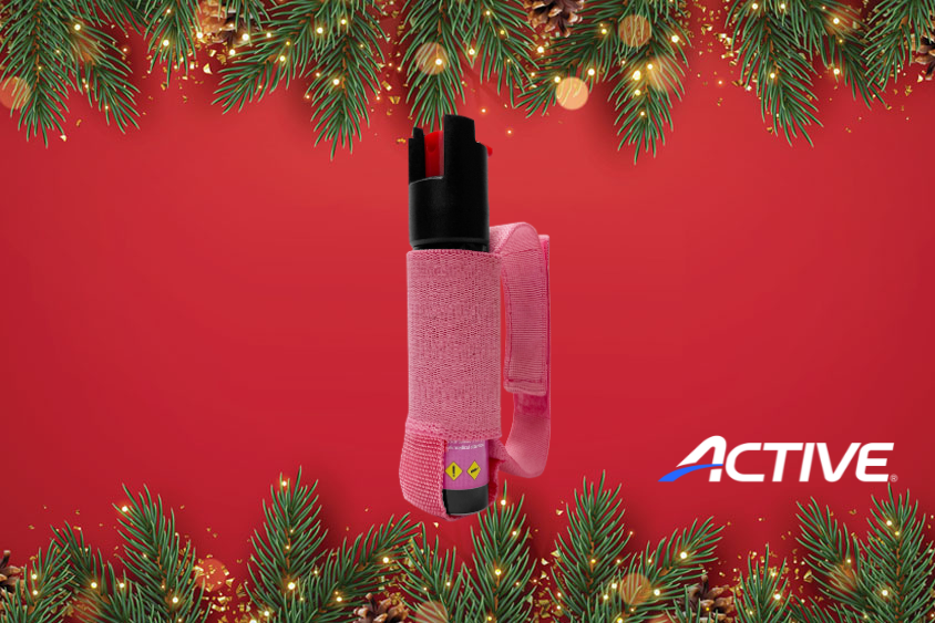 Holiday Gift Guide Repuls