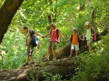 10 Questions to Ask When Choosing a Summer Camp
