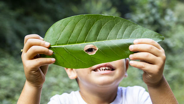 kid with leaf