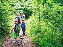 Safety Tips for Hiking with Kids