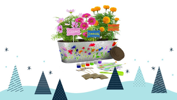 13-Paint-and-Plant-Flower-Growing-Kit