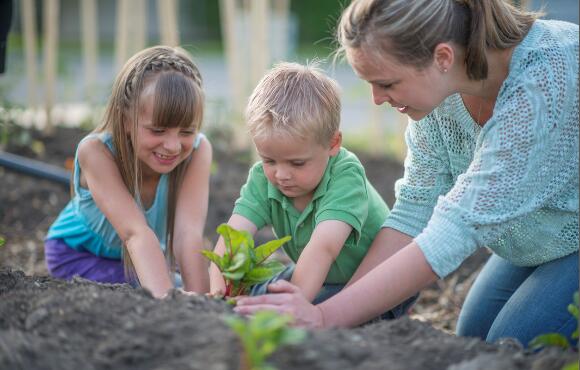 Trick Your Kids Into Yard Work by Starting a Garden