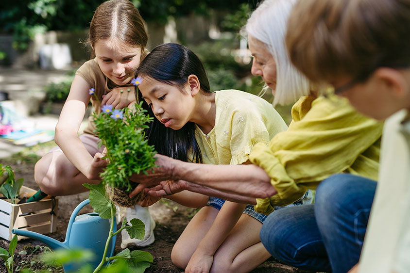 Youth Sustainability