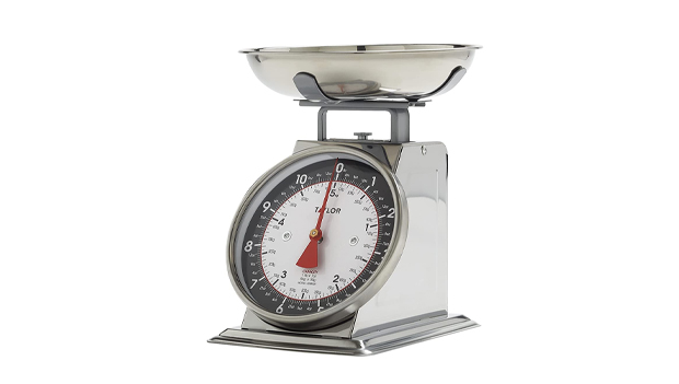 Taylor Precision Mechanical Scale