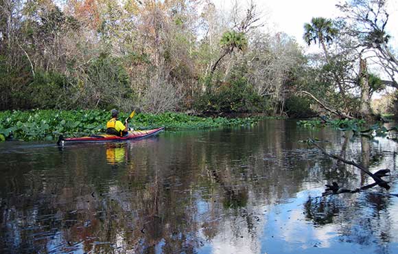 6 Fun Ways to Cool Off at Florida State Parks