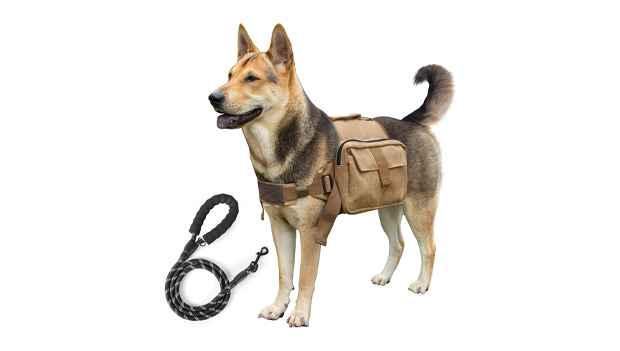 Dog Hiking Backpack with Leash