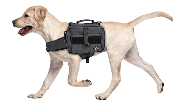 Himal Outdoors Dog Packpack for Large Dog
