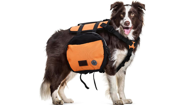 Ownpets Dog Backpack