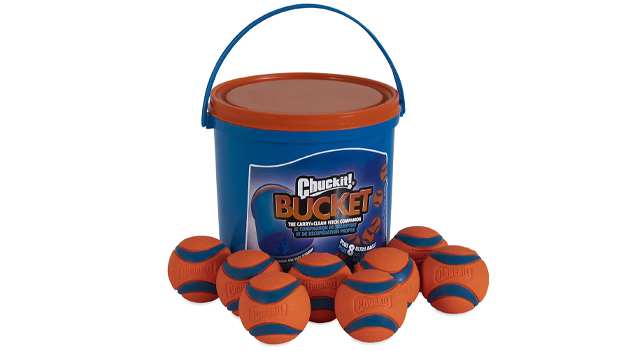 Chuckit! Ultra Ball 8 Pack with Bucket