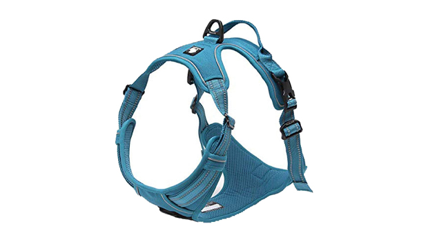 True Love Adjustable no-pull dog harness