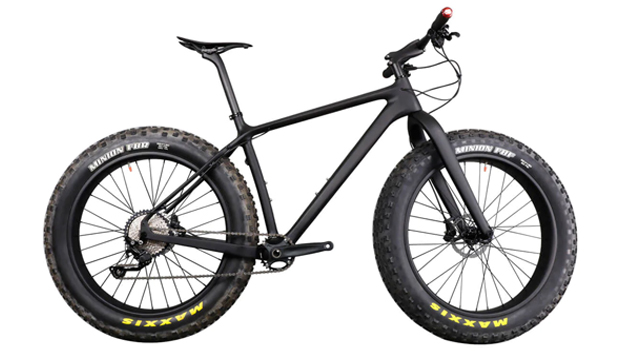 ICAN Cycling Carbon Hardtail Fat Bike SN01