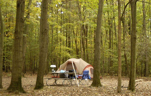 The Best Ohio Campgrounds for Fall Color | ACTIVE