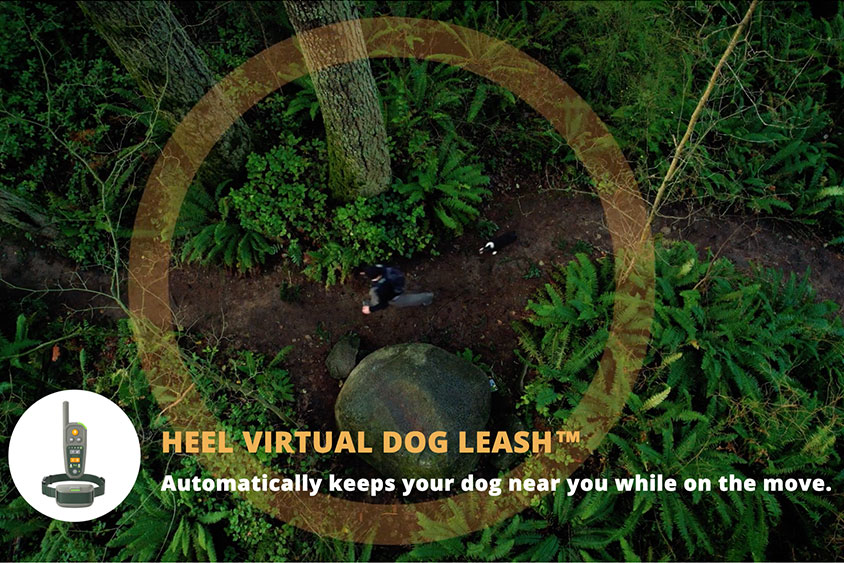 Heel Virtual Dog Leash